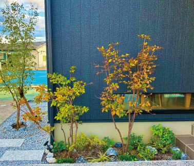 株式会社定池組